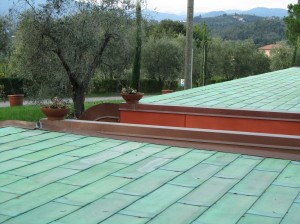 Green roof of the wine cellar