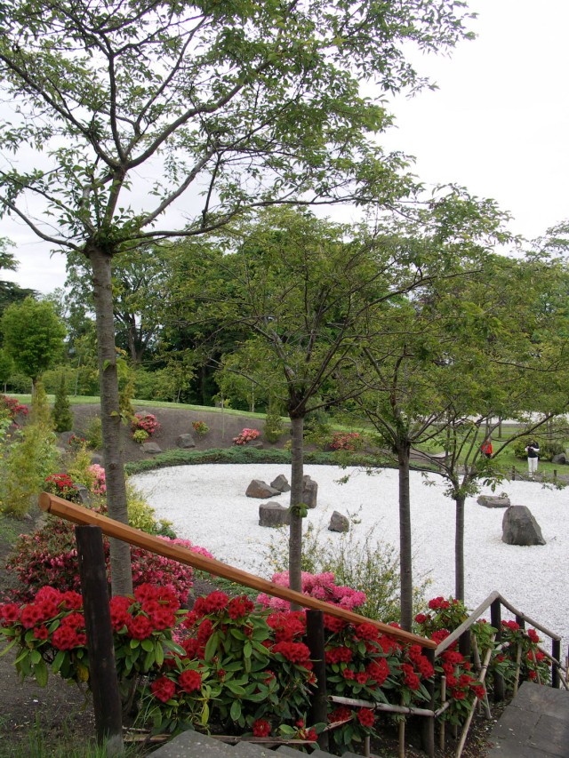 Rhododendrons and gravel garden