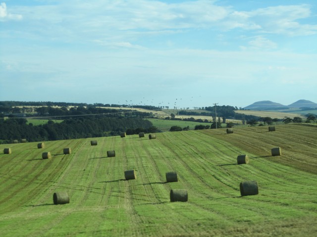 Rolling hills, rolls of hay