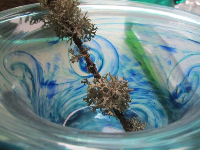 Glass and lichen